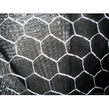 Chicken Mesh (electric galvanized)